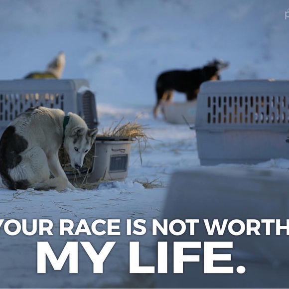 ๐๐งฅBUY PRE-OWNED ANIMAL PARTS & SAVE LIVES ๐ ๐ข - Picture 6 of 10